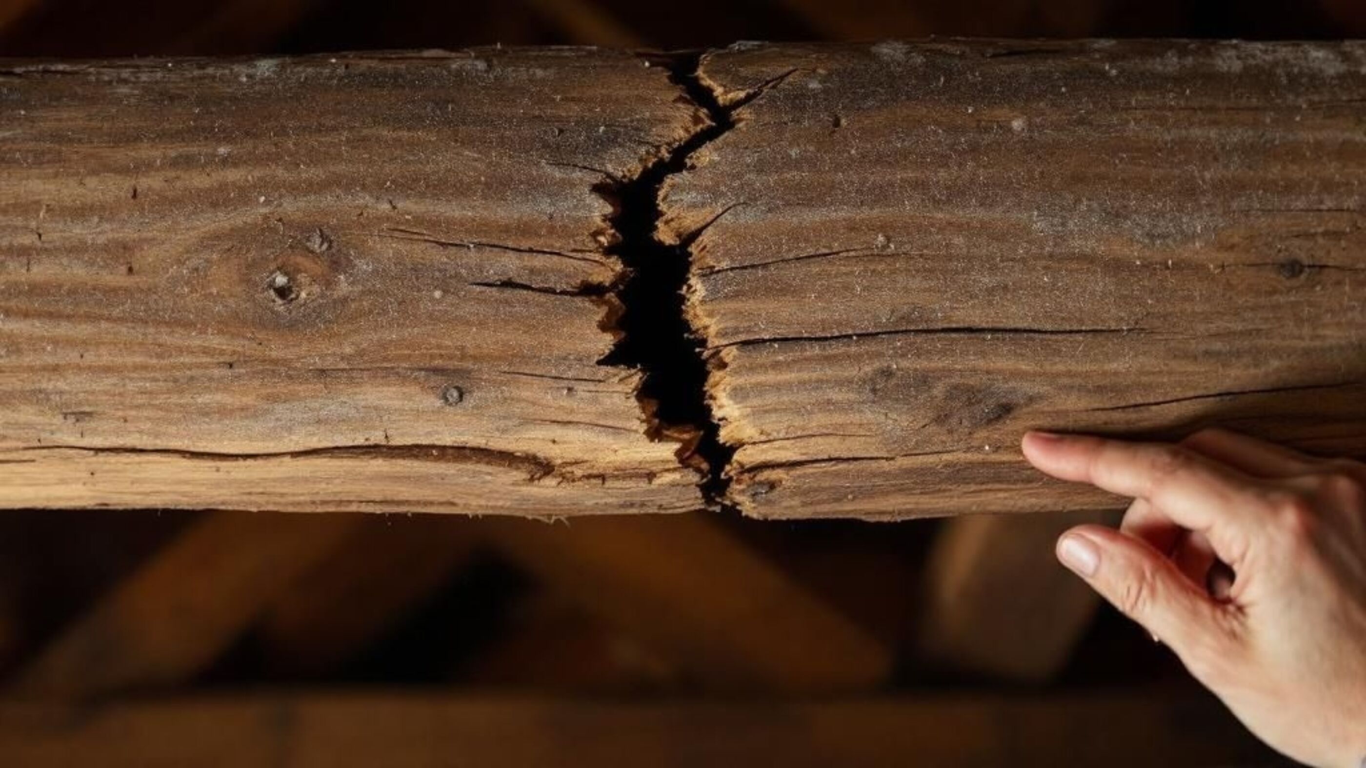 Split log